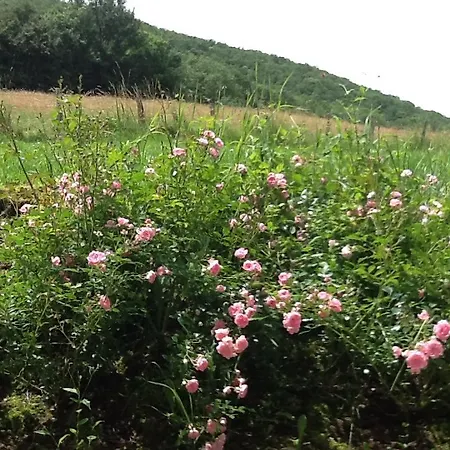 فندق مبيت وإفطار Domaine La Rose